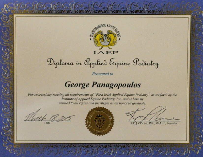 Diploma-IAEP-002.jpg